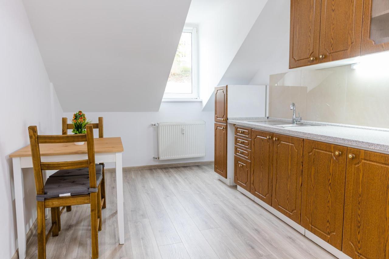 Apartment Th كارلوفي فاري المظهر الخارجي الصورة